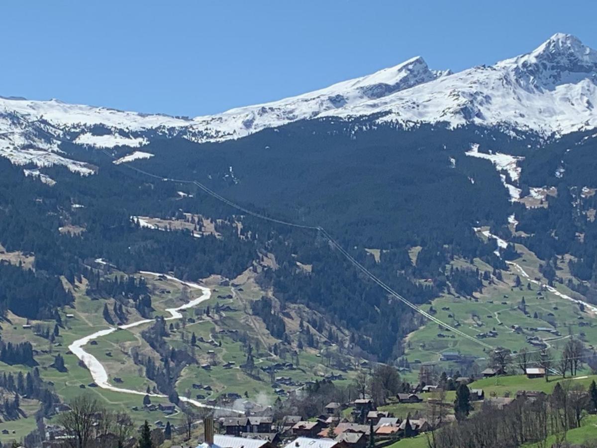 Grindelwald-Sunneblick Apartment Exterior photo