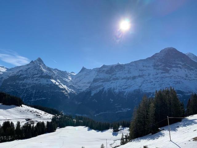 Grindelwald-Sunneblick Apartment Exterior photo